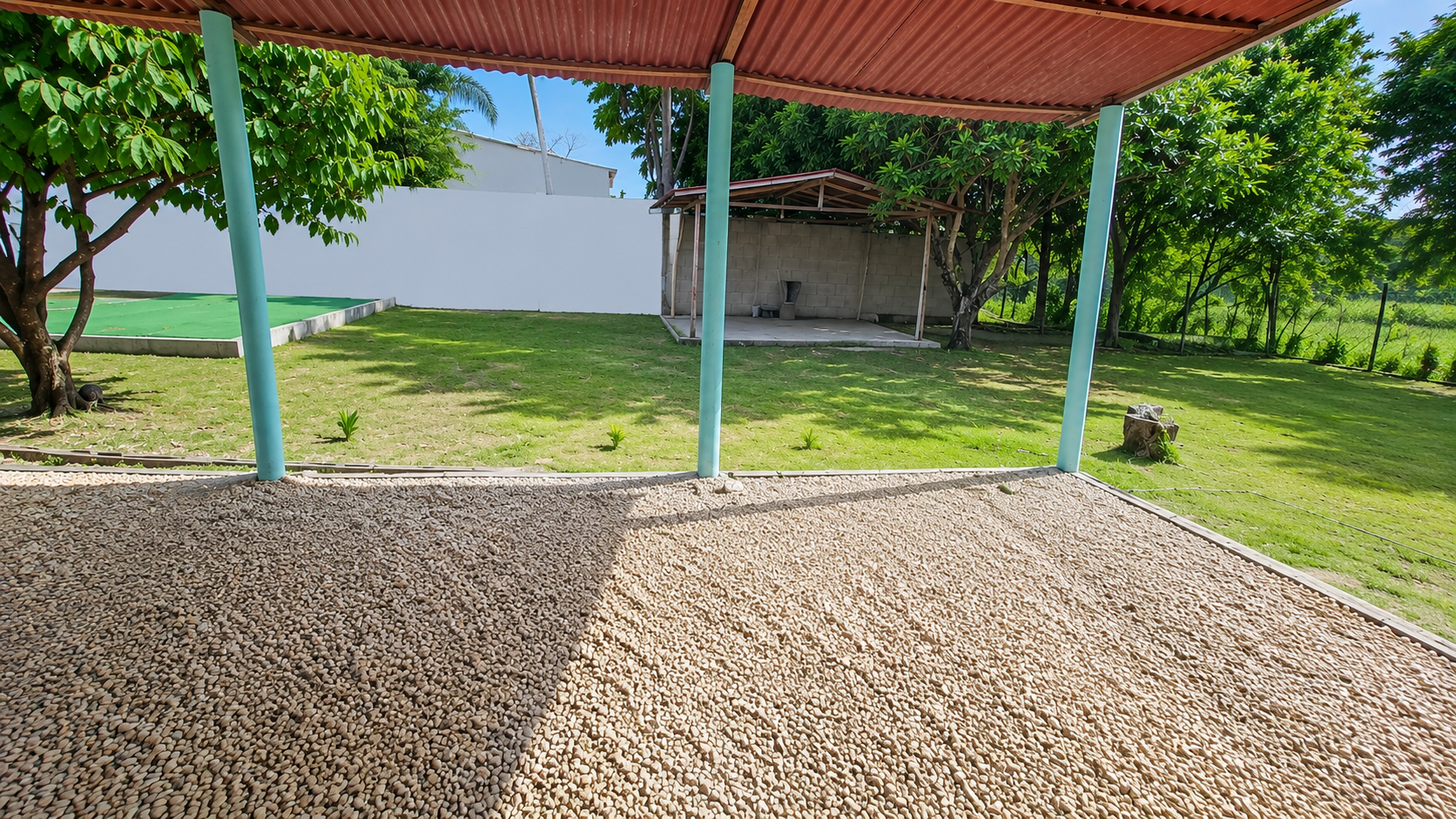 Jardín y zona exterior