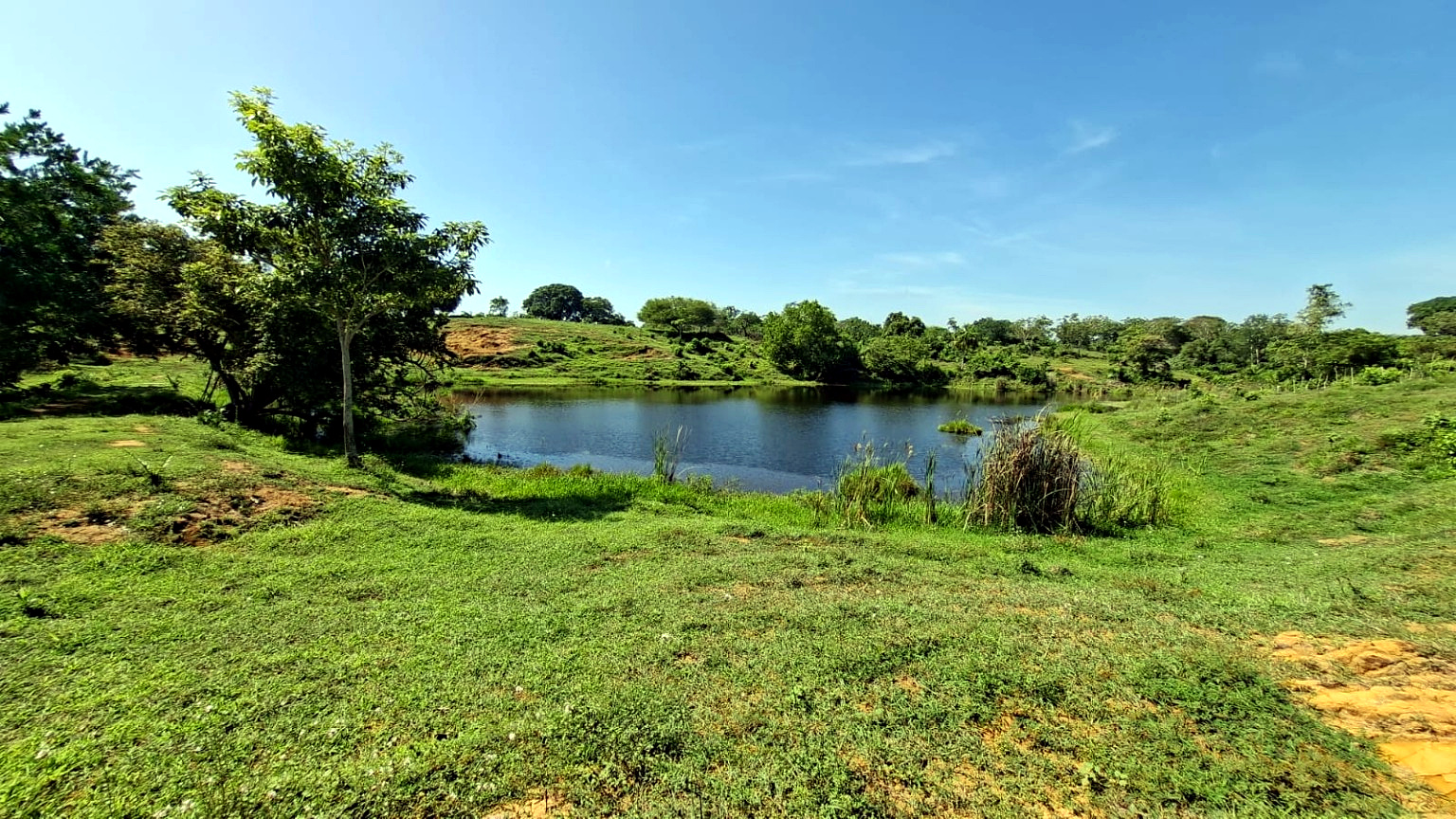 Paisaje de la finca